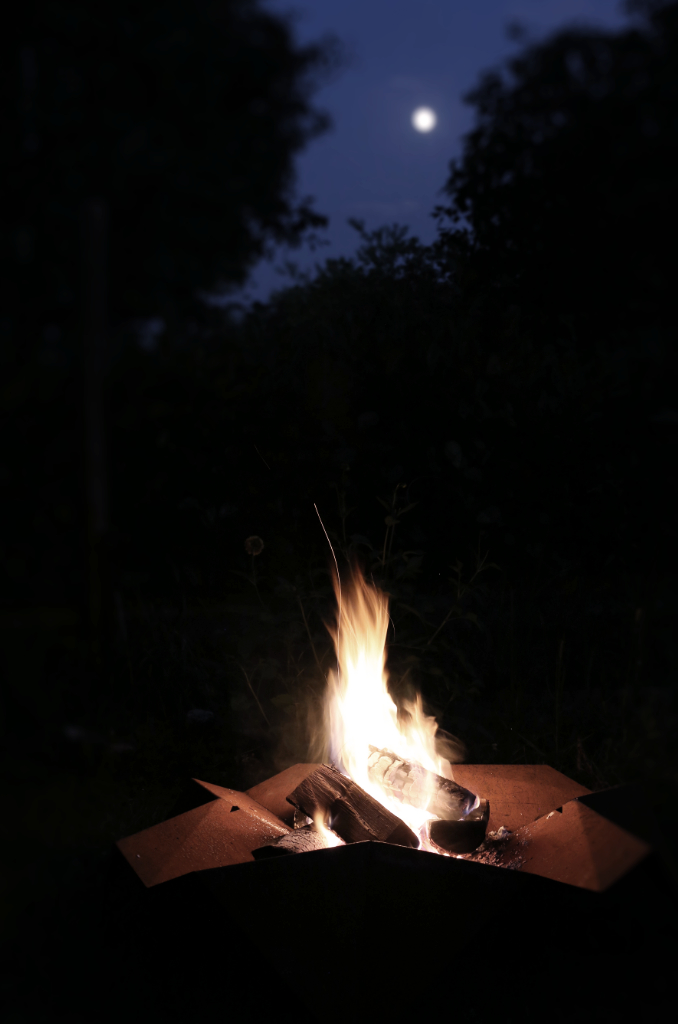 mokkox-lotus-night-04